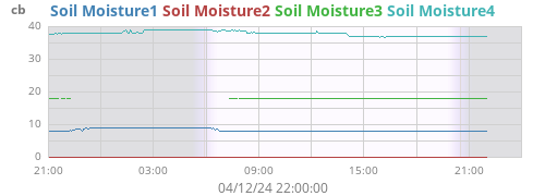 daymoistsoil